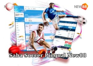 Saba Soccer Pingoal New88